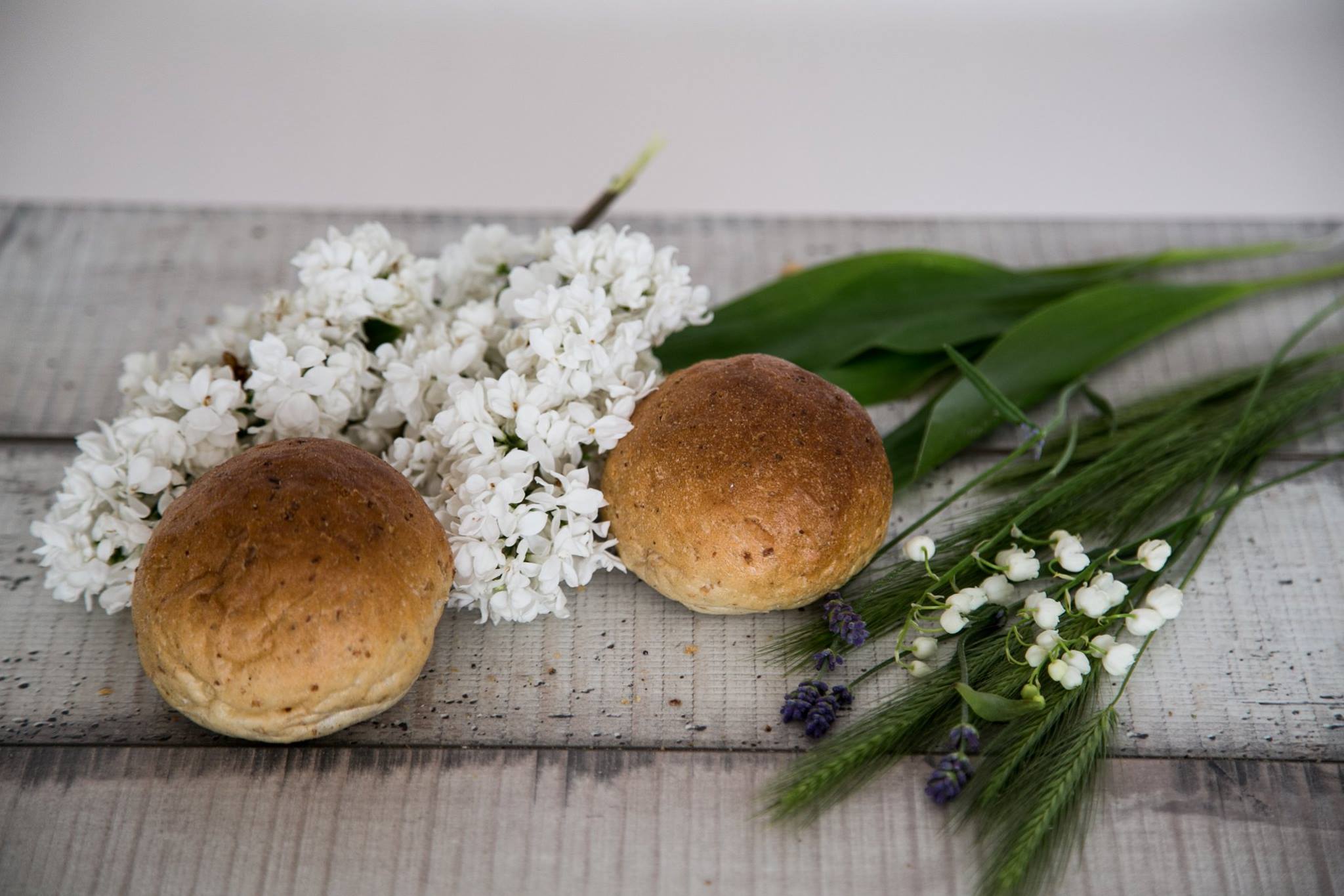 13920063_1097503680332508_1380754643841347451_o